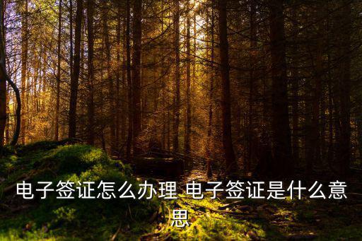 電子簽證怎么辦理 電子簽證是什么意思