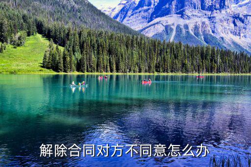 一方不同意解除合同怎么處理好，解除合同一方不同意該怎么辦
