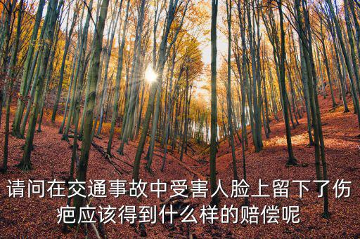請(qǐng)問在交通事故中受害人臉上留下了傷疤應(yīng)該得到什么樣的賠償呢