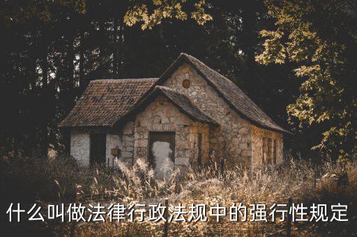 什么叫做法律行政法規(guī)中的強行性規(guī)定
