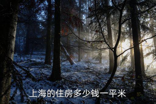 上海保障房一般多少錢一平，上海的住房多少錢一平米