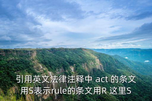 法律英文引用法條，引用英文法律注釋中 act 的條文用S表示rule的條文用R 這里S