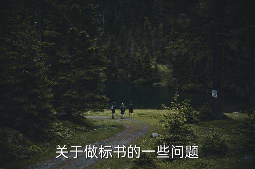關(guān)于做標(biāo)書的一些問題
