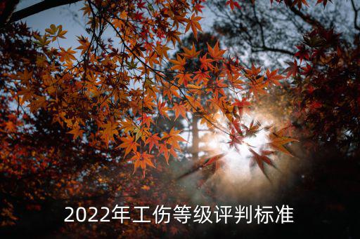 2022年工傷鑒定標(biāo)準(zhǔn)，工傷鑒定標(biāo)準(zhǔn)