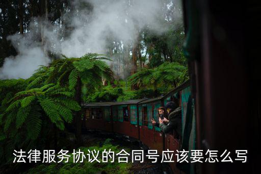 行政案件法律服務合同模板，法律務服合同