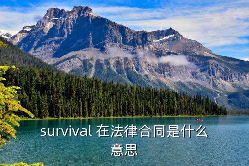 survival 在法律合同是什么意思