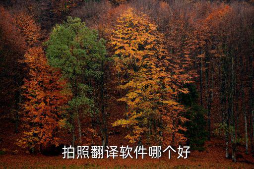 拍照翻譯軟件哪個(gè)好