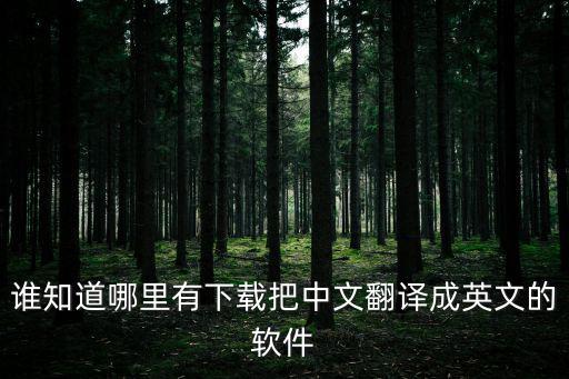 誰知道哪里有下載把中文翻譯成英文的軟件