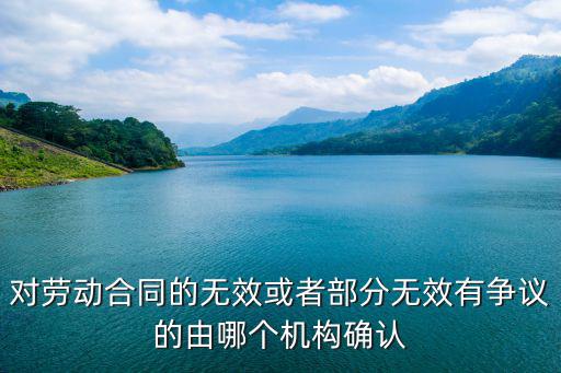 對(duì)勞動(dòng)合同的無(wú)效或者部分無(wú)效有爭(zhēng)議的由哪個(gè)機(jī)構(gòu)確認(rèn)