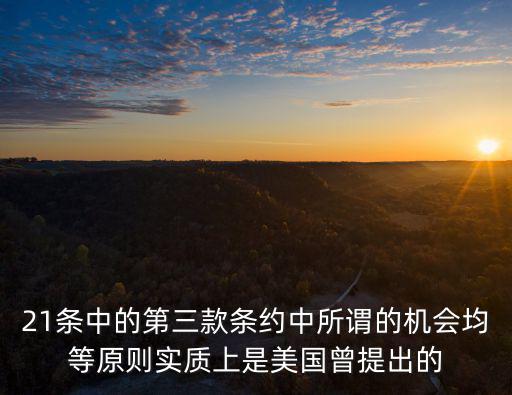 21條中的第三款條約中所謂的機(jī)會(huì)均等原則實(shí)質(zhì)上是美國(guó)曾提出的