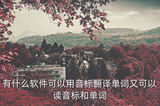 有什么軟件可以用音標翻譯單詞又可以讀音標和單詞