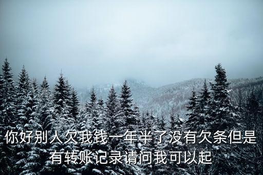 無借條有轉(zhuǎn)賬記錄如何起訴，你好別人欠我錢一年半了沒有欠條但是有轉(zhuǎn)賬記錄請問我可以起
