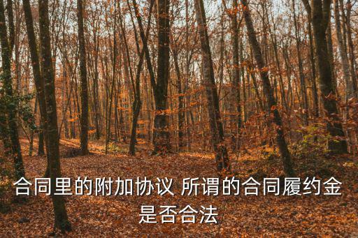 合同的附加協(xié)議，房屋買賣附加協(xié)議