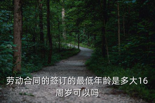 勞動合同的簽訂的最低年齡是多大16周歲可以嗎