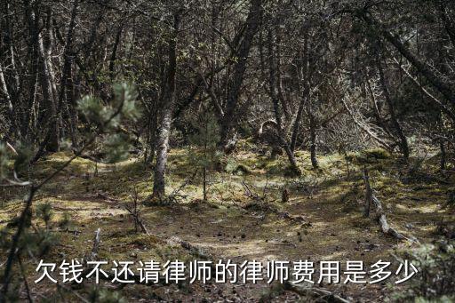 欠錢起訴律師費(fèi)用標(biāo)準(zhǔn)，一般起訴欠債人還錢請(qǐng)律師大概多少錢 大概欠了一萬塊錢