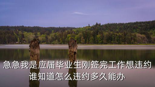 急急我是應(yīng)屆畢業(yè)生剛簽完工作想違約誰(shuí)知道怎么違約多久能辦