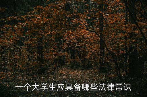 一個大學(xué)生應(yīng)具備哪些法律常識