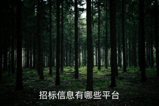招標(biāo)信息有哪些平臺(tái)