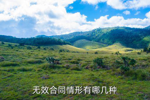合同的無(wú)效情形有哪些種類(lèi)，無(wú)效合同情形有哪幾種