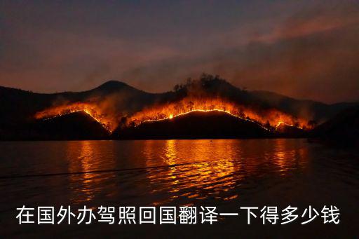 在國外辦駕照回國翻譯一下得多少錢