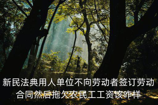 新民法典用人單位不向勞動者簽訂勞動合同然后拖欠農(nóng)民工工資該咋樣