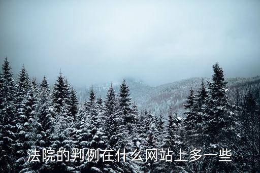 法院的判例在什么網(wǎng)站上多一些