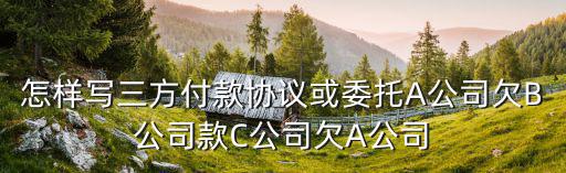 怎樣寫三方付款協(xié)議或委托A公司欠B公司款C公司欠A公司