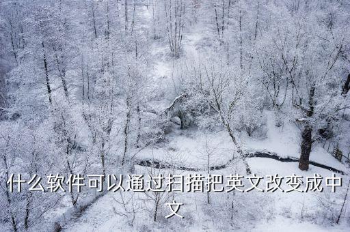 什么軟件可以通過掃描把英文改變成中文