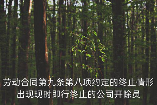 勞動合同第九條第八項約定的終止情形出現(xiàn)現(xiàn)時即行終止的公司開除員