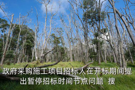 政府采購施工項目招標(biāo)人在開標(biāo)期間提出暫停招標(biāo)時間節(jié)點(diǎn)問題  搜