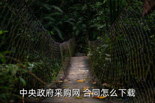 中央政府采購(gòu)網(wǎng) 合同怎么下載