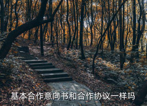 基本合作意向書和合作協(xié)議一樣嗎