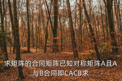 已知矩陣怎么求合同矩陣，求矩陣的合同矩陣已知對稱矩陣A且A與B合同即CACB求