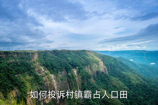 鎮(zhèn)政府強征農民土地如何舉報，強行征地的舉報電話是多少