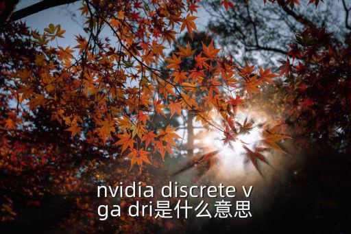 nvidia discrete vga dri是什么意思