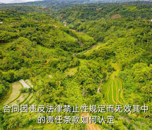 合同約定違反強(qiáng)制性規(guī)定，業(yè)主與物業(yè)公司簽訂的合同中哪些行為不履行屬于違反強(qiáng)制性規(guī)定  搜