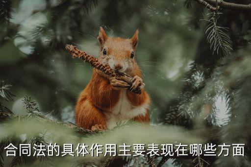 合同法的具體作用主要表現(xiàn)在哪些方面
