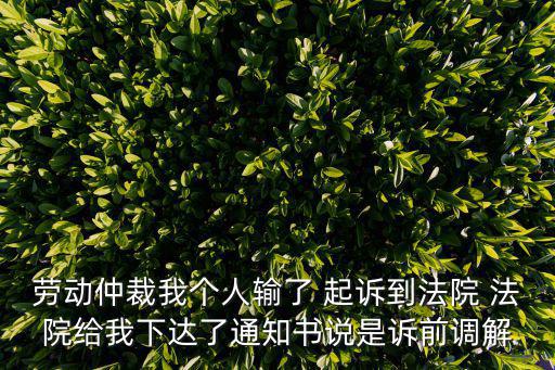 勞動仲裁我個人輸了 起訴到法院 法院給我下達(dá)了通知書說是訴前調(diào)解