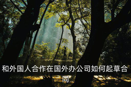 和外國人合作在國外辦公司如何起草合同