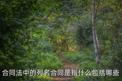 合同法中的列名合同是指什么包括哪些