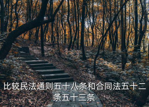 比較民法通則五十八條和合同法五十二條五十三條