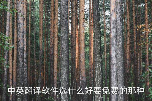 中英翻譯軟件選什么好要免費的那種