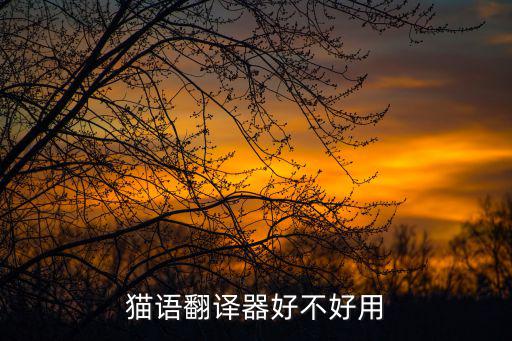貓語翻譯器好不好用