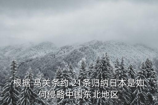 21條條約，不平等條約二十一條事什么