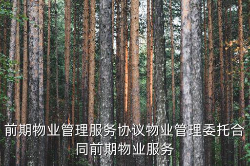 前期物業(yè)管理服務協(xié)議物業(yè)管理委托合同前期物業(yè)服務
