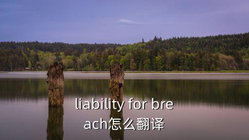 違約責(zé)任英文，雙方互不承擔(dān)違約責(zé)任的翻譯是什么意思