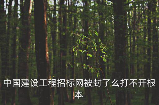中國建設(shè)工程招標(biāo)網(wǎng)被封了么打不開根本