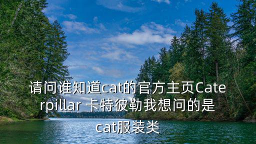 cat官方網(wǎng)站，卡特挖掘機官方網(wǎng)站
