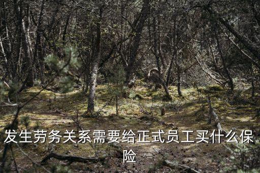 發(fā)生勞務(wù)關(guān)系需要給正式員工買什么保險