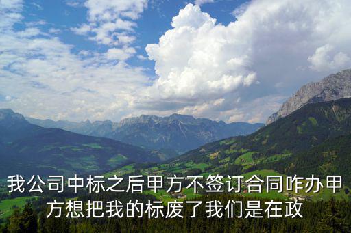 我公司中標(biāo)之后甲方不簽訂合同咋辦甲方想把我的標(biāo)廢了我們是在政